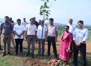  &lsquo;&lsquo;एक पेड़ मां के नाम&rsquo;&rsquo;: वित्त मंत्री ओ. पी. चौधरी ने मां के साथ लगाया पीपल का पेड़