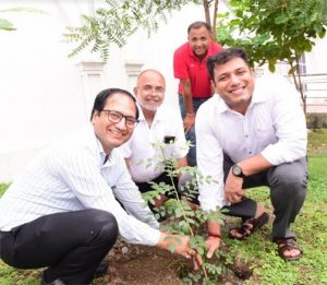   पर्यावरण संरक्षण के लिए करें पौधरोपणः कलेक्टर