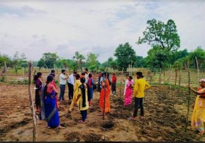   &rsquo;&rsquo;मचान विधि&rsquo;&rsquo; के जरिये बढ़ेगा सब्जियों का उत्पादन