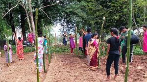 1000 दीदियों की बाड़ी में मचान विधि से लगाई जा रही है सब्जी 1000 दीदियों की बाड़ी में मचान विधि से लगाई जा रही है सब्जी