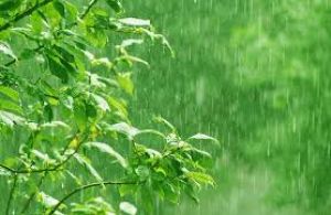  छत्तीसगढ़ में अब तक 257.0 मि.मी. औसत वर्षा दर्ज