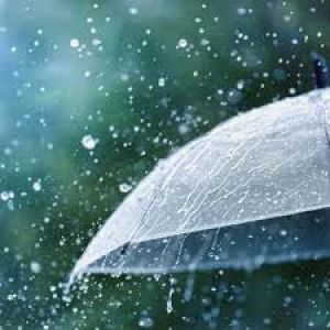  छत्तीसगढ़ में अब तक 330.3 मि.मी. औसत वर्षा दर्ज