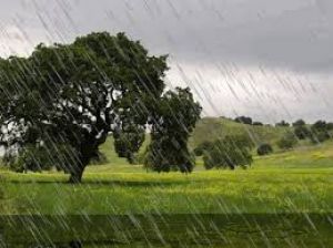 छत्तीसगढ़ में अब तक 437.7 मि.मी. औसत वर्षा दर्ज