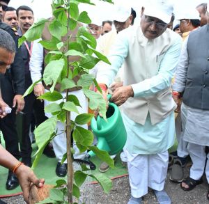  मुख्यमंत्री विष्णु देव साय ने लगाया बेल का पौधा