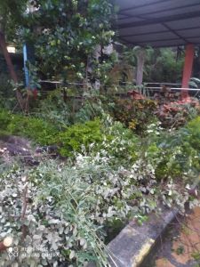  विष्णु के सुशासन का हो रहा है असर, रायपुर में एक कॉल से मिल रहा समाधन