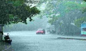  छत्तीसगढ़ में अब तक 479.7 मि.मी. औसत वर्षा दर्ज