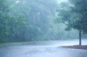 जिले में अब तक 335.8 मिमी औसत वर्षा दर्ज