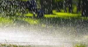  छत्तीसगढ़ में अब तक 541.4 मि.मी. औसत वर्षा दर्ज