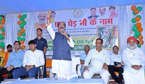 एक पेड़ मां के नाम : उप मुख्यमंत्री साव ने अपनी मां के सम्मान में लगाया पौधा