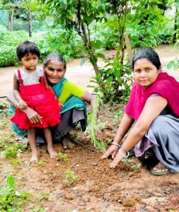 बालोद जिले के आंगनबाड़ी केन्द्रों में महतारी वंदन योजना से लाभांवित महिला हितग्राहियों ने किया वृक्षारोपण