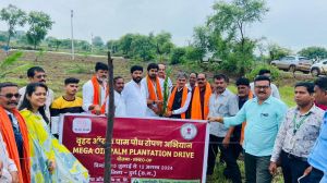 उद्यानिकी विभाग द्वारा वृहद् ऑयल पॉम पौधरोपण अभियान उद्यानिकी विभाग द्वारा वृहद् ऑयल पॉम पौधरोपण अभियान