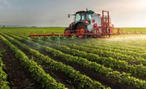 ऋणी किसान अब 25 अगस्त तक करा सकेंगे फसल बीमा ऋणी किसान अब 25 अगस्त तक करा सकेंगे फसल बीमा