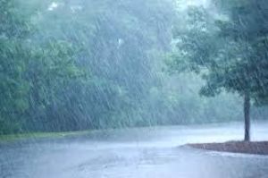 जिले में अब तक 483.4 मिमी औसत वर्षा दर्ज जिले में अब तक 483.4 मिमी औसत वर्षा दर्ज