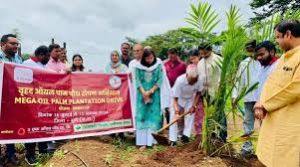 विधायक कोर्सेवाड़ा ने किया ऑयल पॉम पौधरोपण विधायक कोर्सेवाड़ा ने किया ऑयल पॉम पौधरोपण