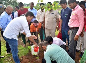 कलेक्टर एवं सीईओ जिला पंचायत ने नीम काॅरीडोर में किया पौधरोपण