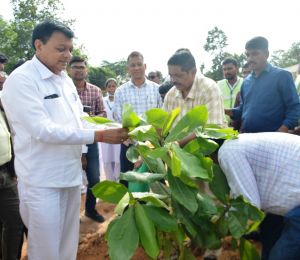 &lsquo;एक पेड़ मां के नाम&rsquo; अभियान के तहत उद्योग मंत्री ने किया पौधारोपण