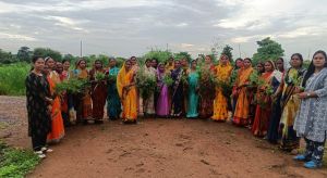  कृषि विज्ञान केन्द्र पाहंदा में गाजरघास जागरूकता कार्यक्रम का आयोजन