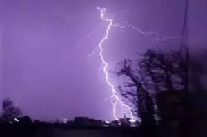 आकाशीय बिजली की चपेट में आकर 20 मवेशियों की मृत्यु