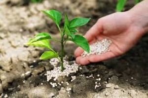  किसानों को लक्ष्य का 88 प्रतिशत रासायनिक खाद वितरित