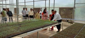 कलेक्टर सुश्री चौधरी ने की बीज प्रगुणन प्रक्षेत्र और एस.जे. फार्म का निरीक्षण 