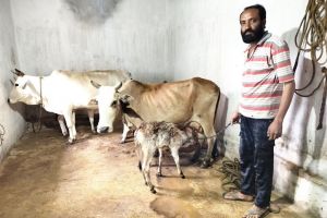 मनरेगा से पशु आश्रय पाकर दीपक हुआ खुशहाल मनरेगा से पशु आश्रय पाकर दीपक हुआ खुशहाल