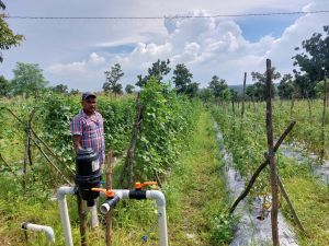  मनरेगा की एक छोटी सी मदद से मिली उन्नति की नई राह : कृषक बीरसाय