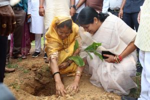  मंत्री लक्ष्मी राजवाड़े एवं सांसद  कमलेश जांगड़े ने &lsquo;&lsquo;एक पेड़ मां के नाम अभियान&rsquo;&rsquo; के तहत किया पौधरोपण