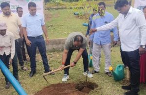  स्वच्छता ही सेवा पखवाड़ा : एक पेड़ मां के नाम अभियान के तहत पौधे लगाए गए 