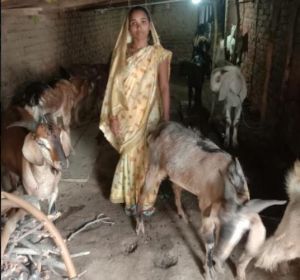 सक्षम योजना की मदद से बकरी पालन कर आत्मनिर्भर बनीं भूमिका पटेल