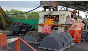  महिला सशक्तिकरण: महिला स्व सहायता समूह ने मेहनत और हौसले से किया व्यवसाय स्थापित