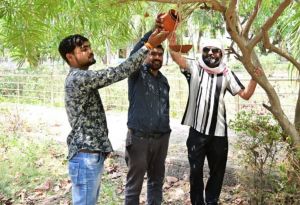 कलेक्टोरेट गार्डन में पक्षियों के लिए दाना-पानी हेतु लगाए गए सकोरे