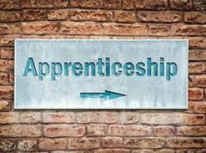 आईटीआई कोनी में अप्रेंटिसशिप मेला 15 को 