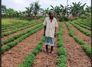 वनांचल के किसान श्री नारद ने मूंगफली की फसल लेकर 4 गुना से अधिक का लिया मुनाफा वनांचल के किसान श्री नारद ने मूंगफली की फसल लेकर 4 गुना से अधिक का लिया मुनाफा