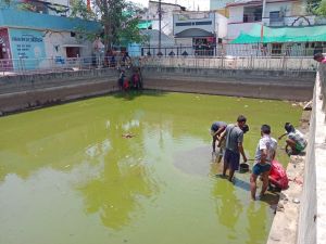 सुशासन तिहार : धरम नगर में गार्डन कुण्ड की सफाई प्रारम्भ सुशासन तिहार : धरम नगर में गार्डन कुण्ड की सफाई प्रारम्भ