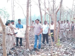 वन सीमा सुरक्षा सप्ताह का हुआ शुभारंभ वन सीमा सुरक्षा सप्ताह का हुआ शुभारंभ
