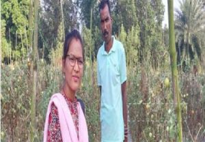 ग्राफ्टेड टमाटर और मिर्च की खेती से बदली तोपचंद भंडारी की किस्मत ग्राफ्टेड टमाटर और मिर्च की खेती से बदली तोपचंद भंडारी की किस्मत