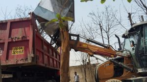  सुशासन तिहार - नगर निगम को आवेदन करते ही हुई  कार्रवाई