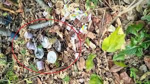 माओवादियों द्वारा छिपाकर रखे गए नौ आईईडी जब्त माओवादियों द्वारा छिपाकर रखे गए नौ आईईडी जब्त