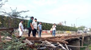 शाम को आए आंधी-पानी से पेड़ एवं डांलिया गिर गई थी, उसे व्यवस्थित किया गया