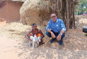 बकरी पालन बना आर्थिक सशक्तिकरण का आधार