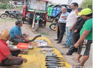 भिलाई क्षेत्र में खुले में मांस मछली बेचना प्रतिबंधित भिलाई क्षेत्र में खुले में मांस मछली बेचना प्रतिबंधित