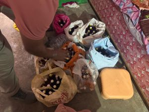  अवैध शराब के विरुद्ध आबकारी विभाग की छापामार कार्यवाही