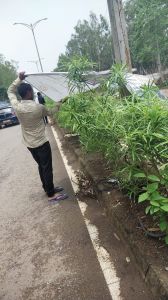 टीम प्रहरी निगम नगर निवेश ने अवैध कब्जो, आमापारा चौक में अवैध ठेलों, गुमटियों को हटाया टीम प्रहरी निगम नगर निवेश ने अवैध कब्जो, आमापारा चौक में अवैध ठेलों, गुमटियों को हटाया