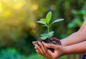  विश्व पर्यावरण दिवस के अवसर पर साइकिल रैली का आयोजन