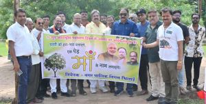 विश्व पर्यावरण दिवस के अवसर पर पांचों जोन के 31 स्थानों पर लगाए गए हजारों पौधे