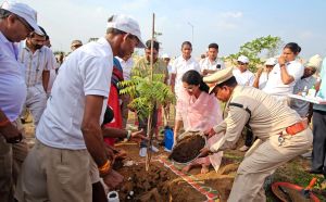 विश्व पर्यावरण दिवस के अवसर पर रिजर्व फाॅरेस्ट में सघन वृहद पौधरोपण कार्यक्रम
