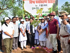 विश्व पर्यावरण दिवस के अवसर पर जिले भर में किया गया सघन वृहद पौधरोपण कार्यक्रम का आयोजन