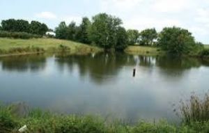 छुईया तालाब सौंदर्यीकरण के लिए 2.96 करोड़ स्वीकृत