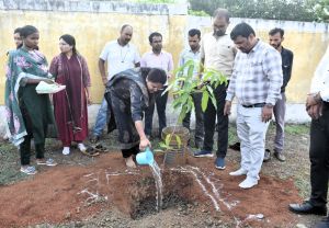 कलेक्टर श्रीमती मिश्रा एवं अन्य अधिकारियों ने समाज कल्याण विभाग परिसर में किया पौधरोपण 