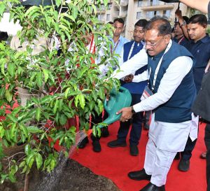 मुख्यमंत्री ने आईआईएम रायपुर परिसर में किया सुशासन वाटिका का शुभारंभ मुख्यमंत्री ने आईआईएम रायपुर परिसर में किया सुशासन वाटिका का शुभारंभ